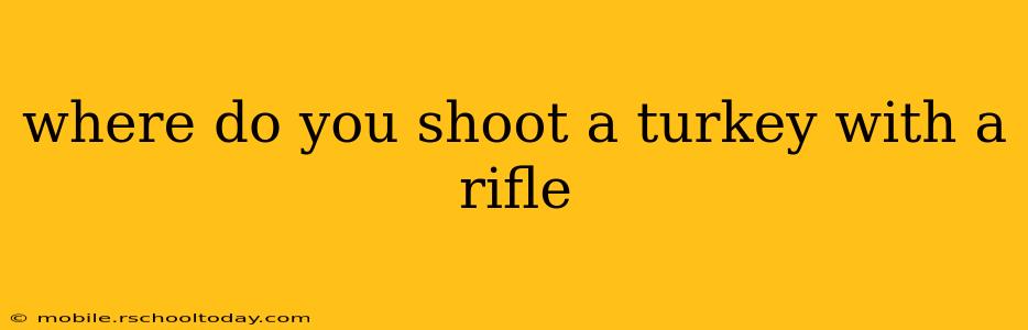 where do you shoot a turkey with a rifle