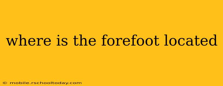 where is the forefoot located