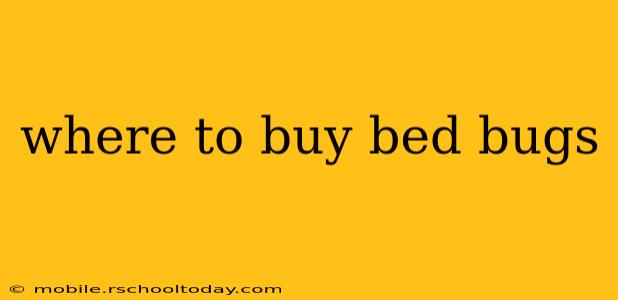 where to buy bed bugs