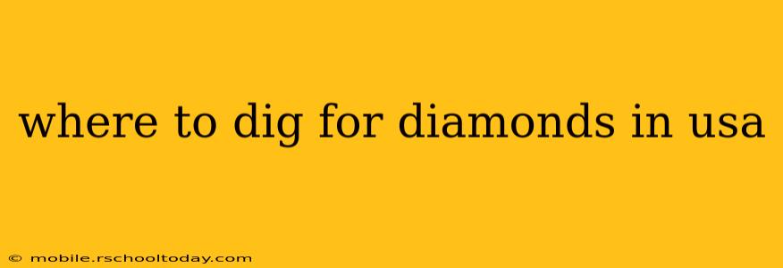 where to dig for diamonds in usa