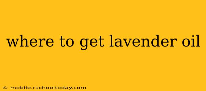 where to get lavender oil