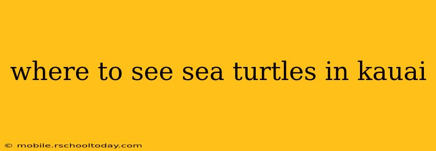 where to see sea turtles in kauai