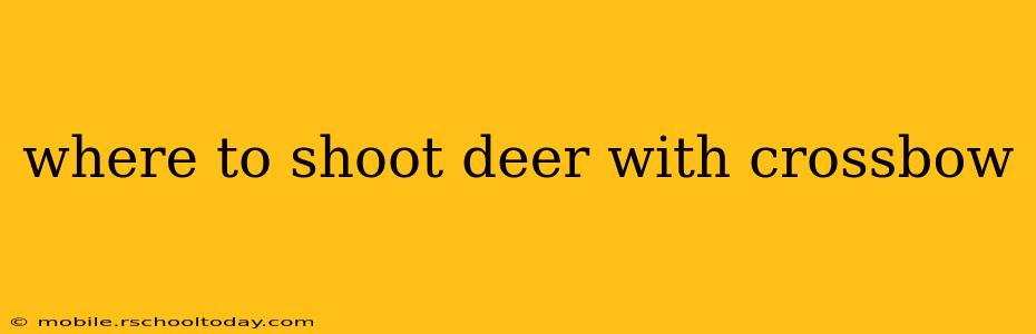 where to shoot deer with crossbow