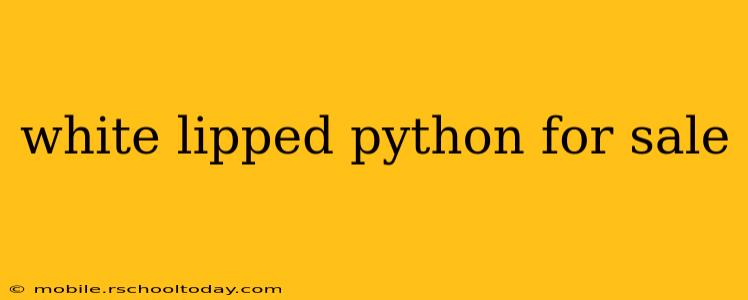 white lipped python for sale