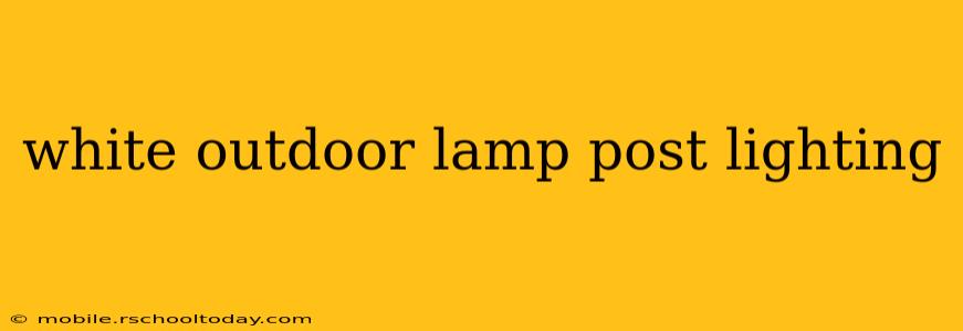 white outdoor lamp post lighting