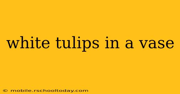 white tulips in a vase