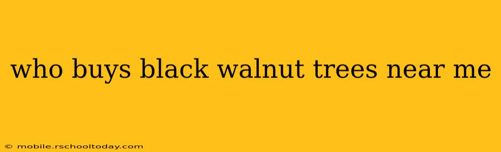 who buys black walnut trees near me