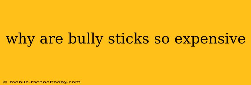 why are bully sticks so expensive