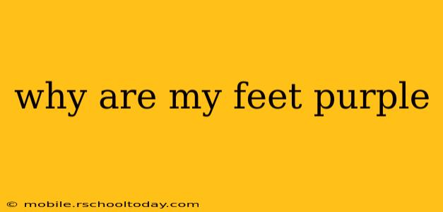 why are my feet purple
