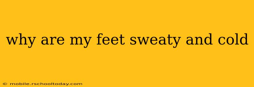 why are my feet sweaty and cold