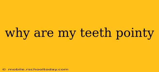 why are my teeth pointy
