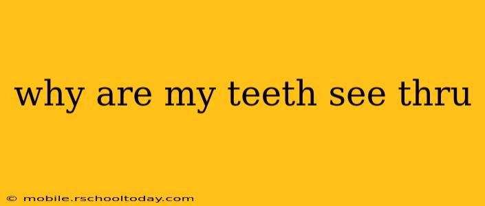 why are my teeth see thru