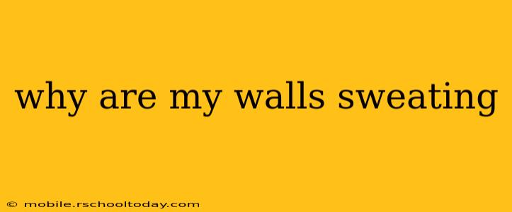 why are my walls sweating