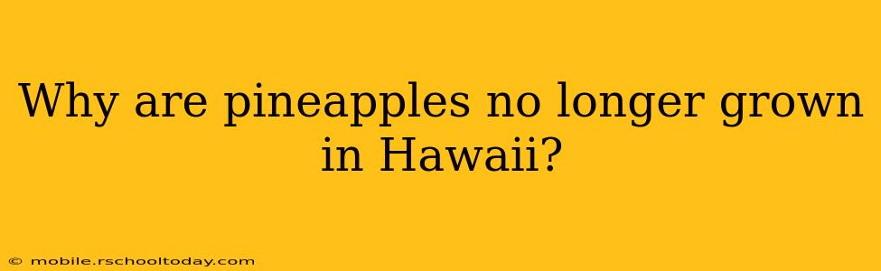 Why are pineapples no longer grown in Hawaii?