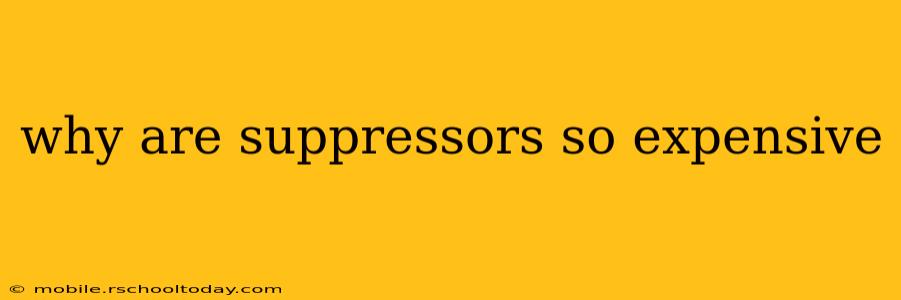 why are suppressors so expensive