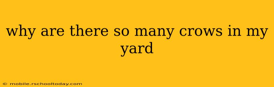 why are there so many crows in my yard