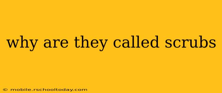 why are they called scrubs