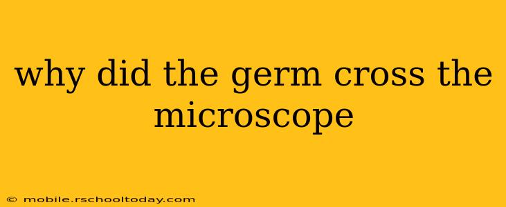 why did the germ cross the microscope