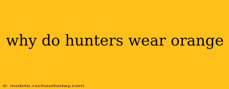 why do hunters wear orange