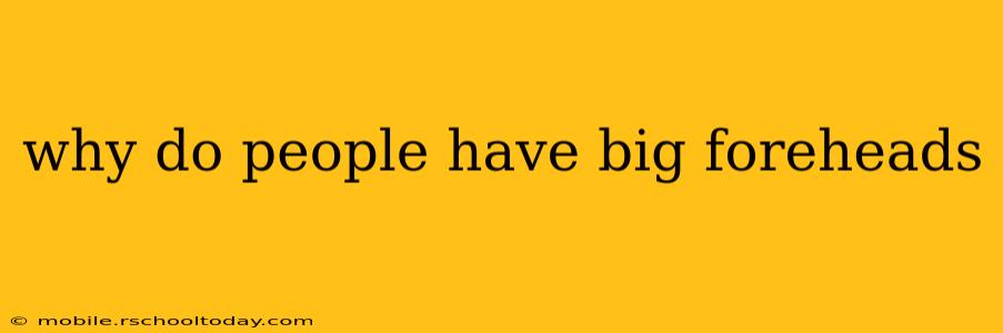 why do people have big foreheads