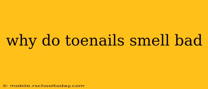 why do toenails smell bad