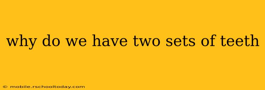 why do we have two sets of teeth