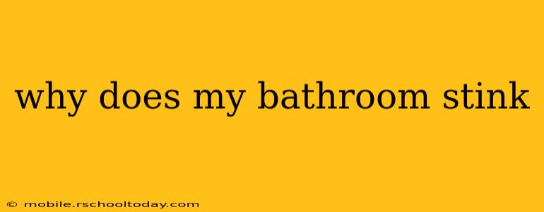 why does my bathroom stink
