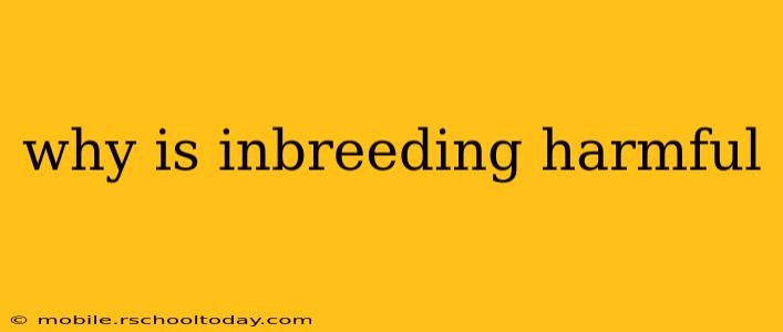 why is inbreeding harmful