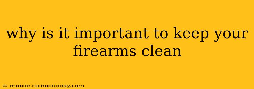why is it important to keep your firearms clean