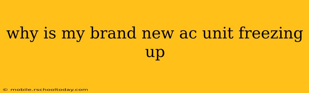 why is my brand new ac unit freezing up