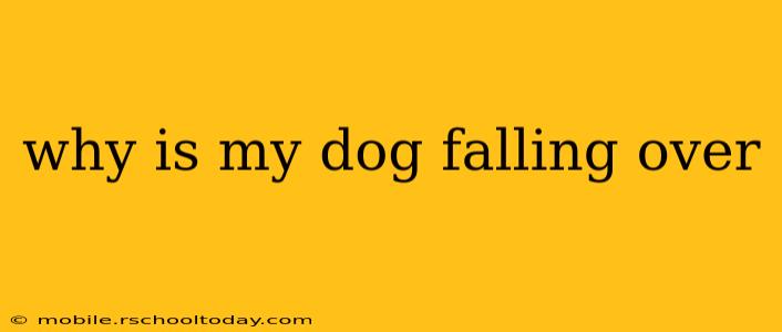 why is my dog falling over