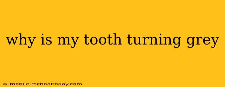 why is my tooth turning grey