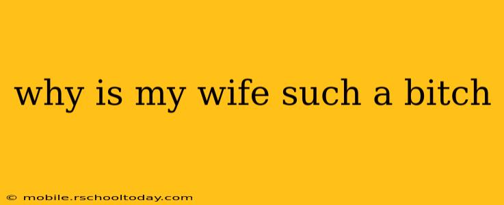 why is my wife such a bitch