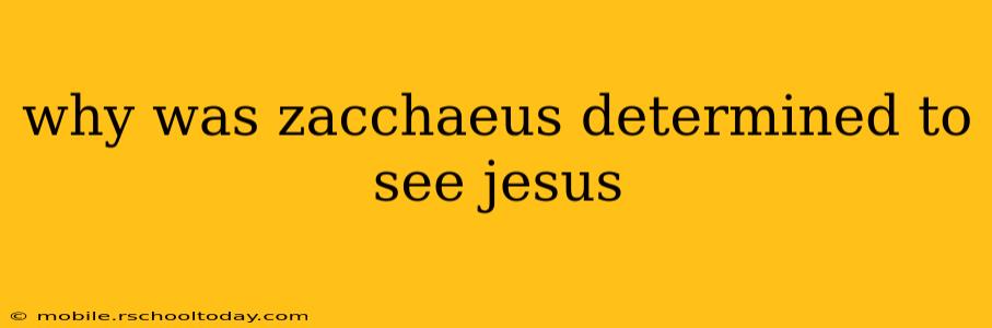 why was zacchaeus determined to see jesus