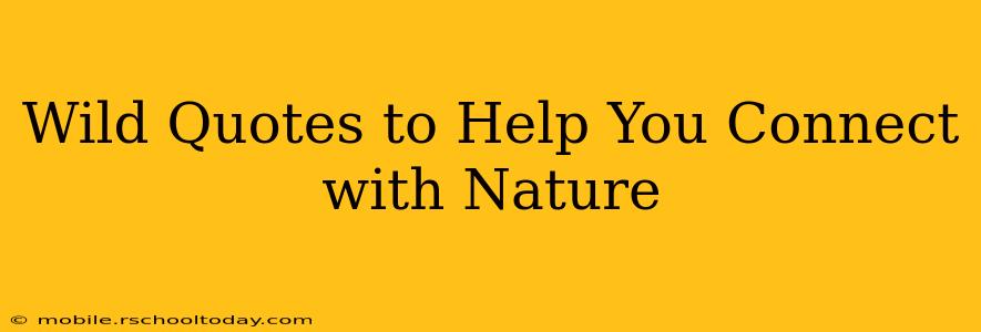 Wild Quotes to Help You Connect with Nature