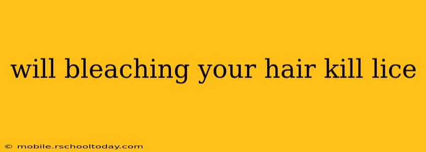 will bleaching your hair kill lice