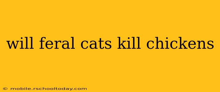 will feral cats kill chickens