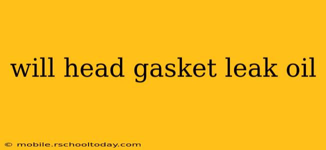 will head gasket leak oil