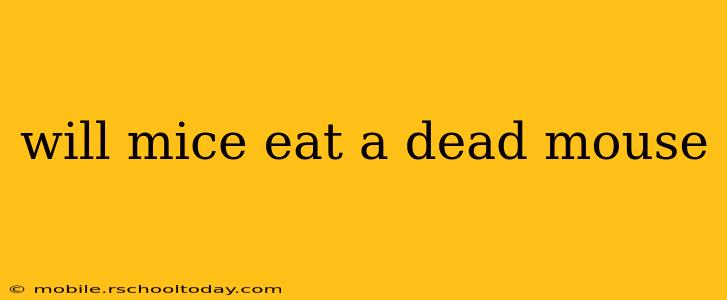 will mice eat a dead mouse