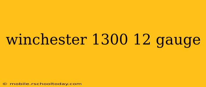 winchester 1300 12 gauge