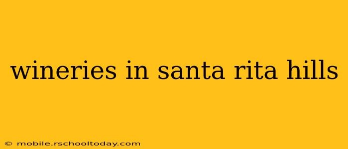 wineries in santa rita hills