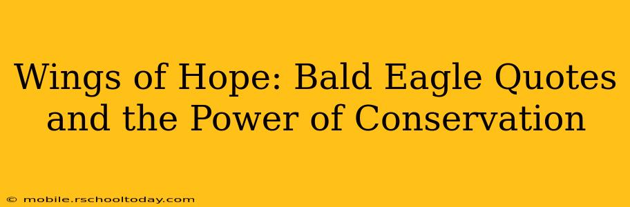 Wings of Hope: Bald Eagle Quotes and the Power of Conservation