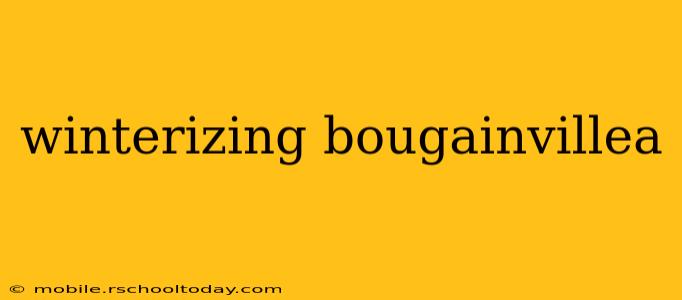 winterizing bougainvillea