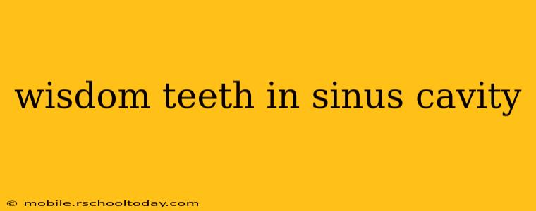 wisdom teeth in sinus cavity