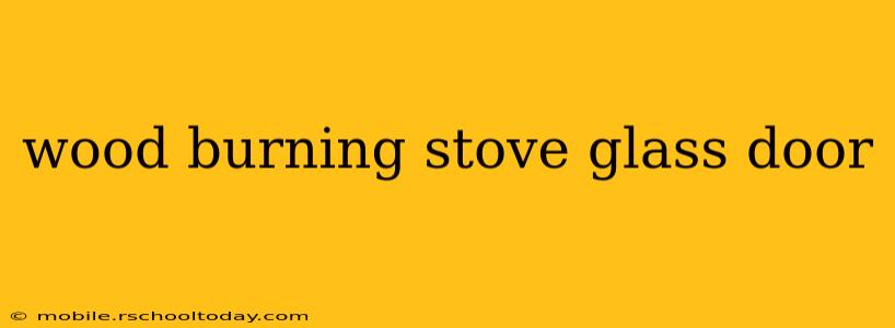 wood burning stove glass door