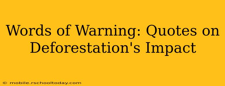 Words of Warning: Quotes on Deforestation's Impact