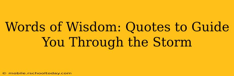 Words of Wisdom: Quotes to Guide You Through the Storm