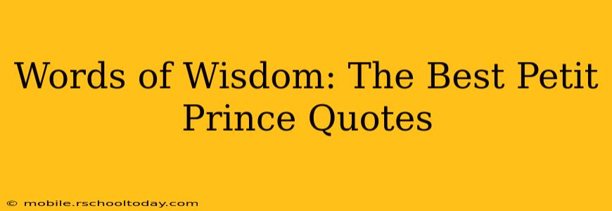 Words of Wisdom: The Best Petit Prince Quotes