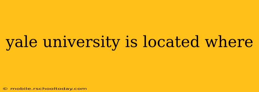yale university is located where