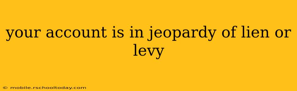 your account is in jeopardy of lien or levy